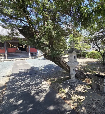 春日神社：石灯籠と社殿へ続く参道。