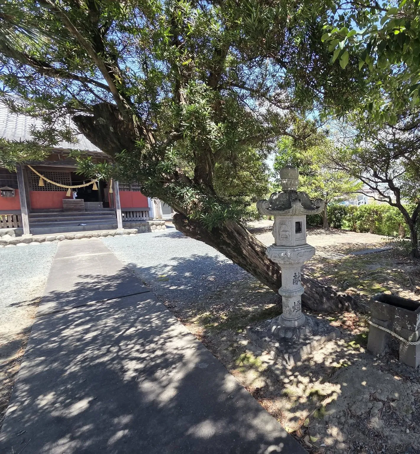 石灯籠と社殿へ続く参道。