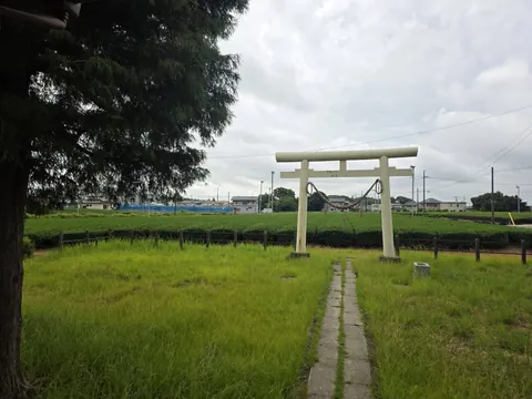 社殿側から鳥居方向を見る石敷きの参道。境外の田園まで見通せる。