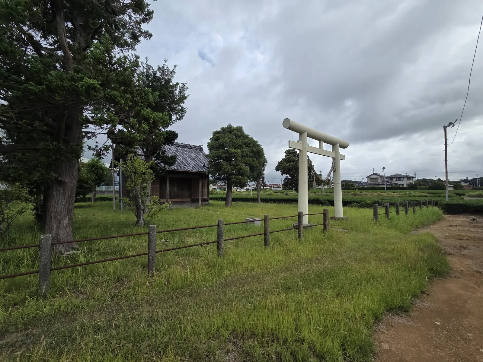 境外の道路から見る境内全景。鳥居・社殿・社叢の位置関係が分かる。