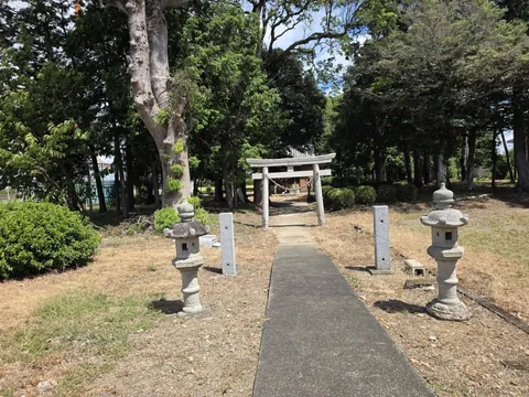 石灯籠が並ぶ参道の先に鳥居が見え、奥に社殿の屋根がのぞく。