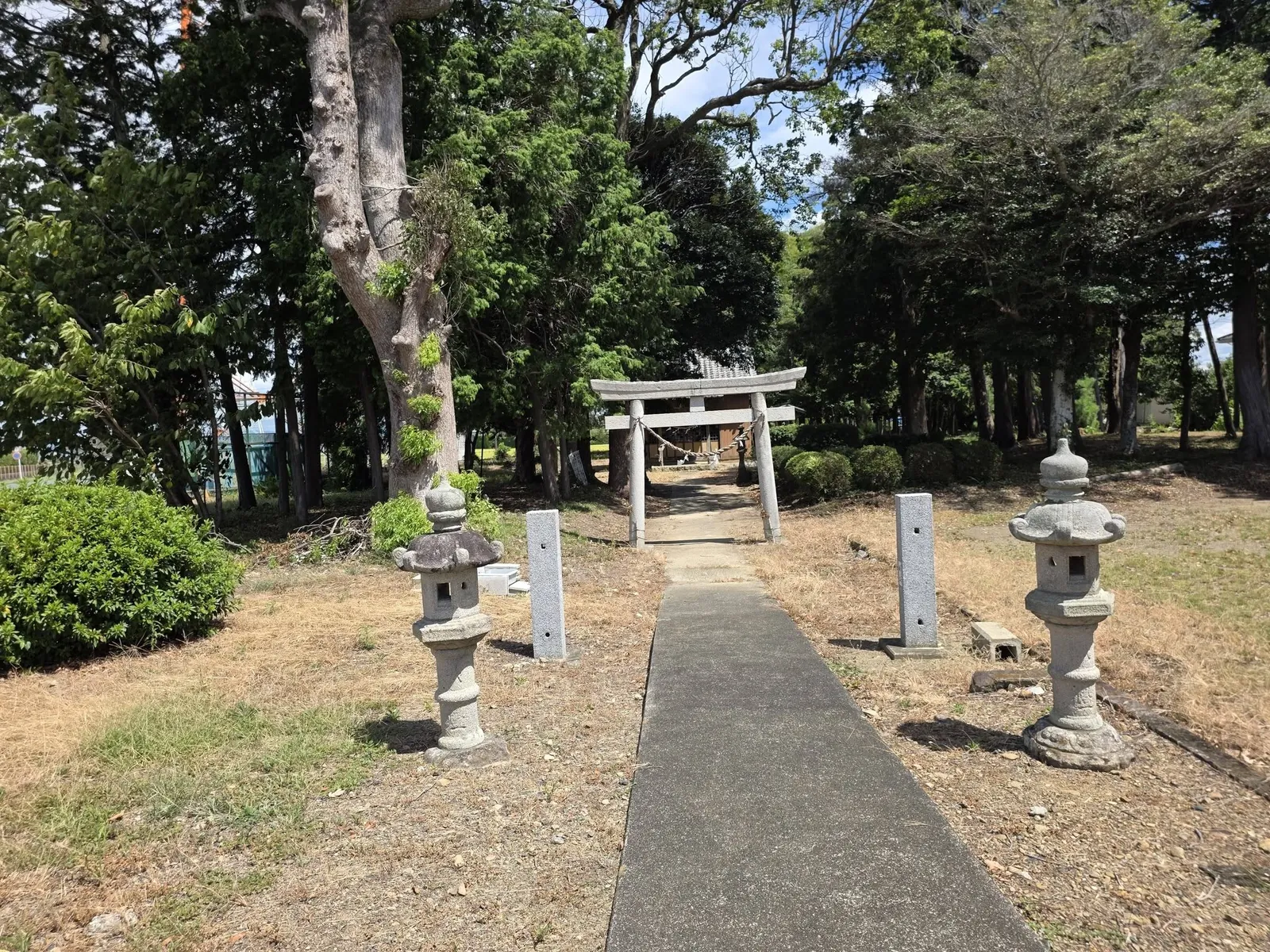 石灯籠が並ぶ参道の先に鳥居が見え、奥に社殿の屋根がのぞく。