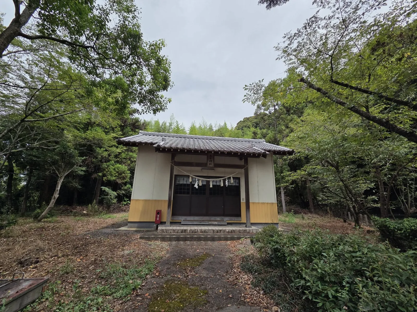 社殿正面。社叢に囲まれた境内に鎮座する。