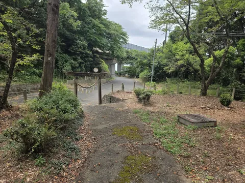 社殿側から鳥居へ下る参道。