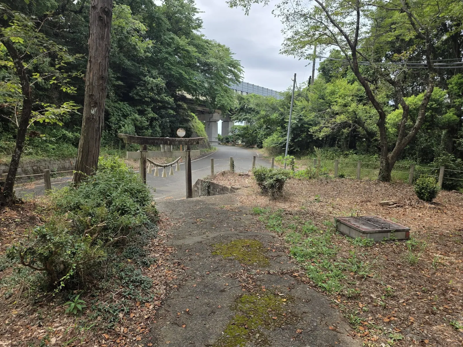 社殿側から鳥居へ下る参道。