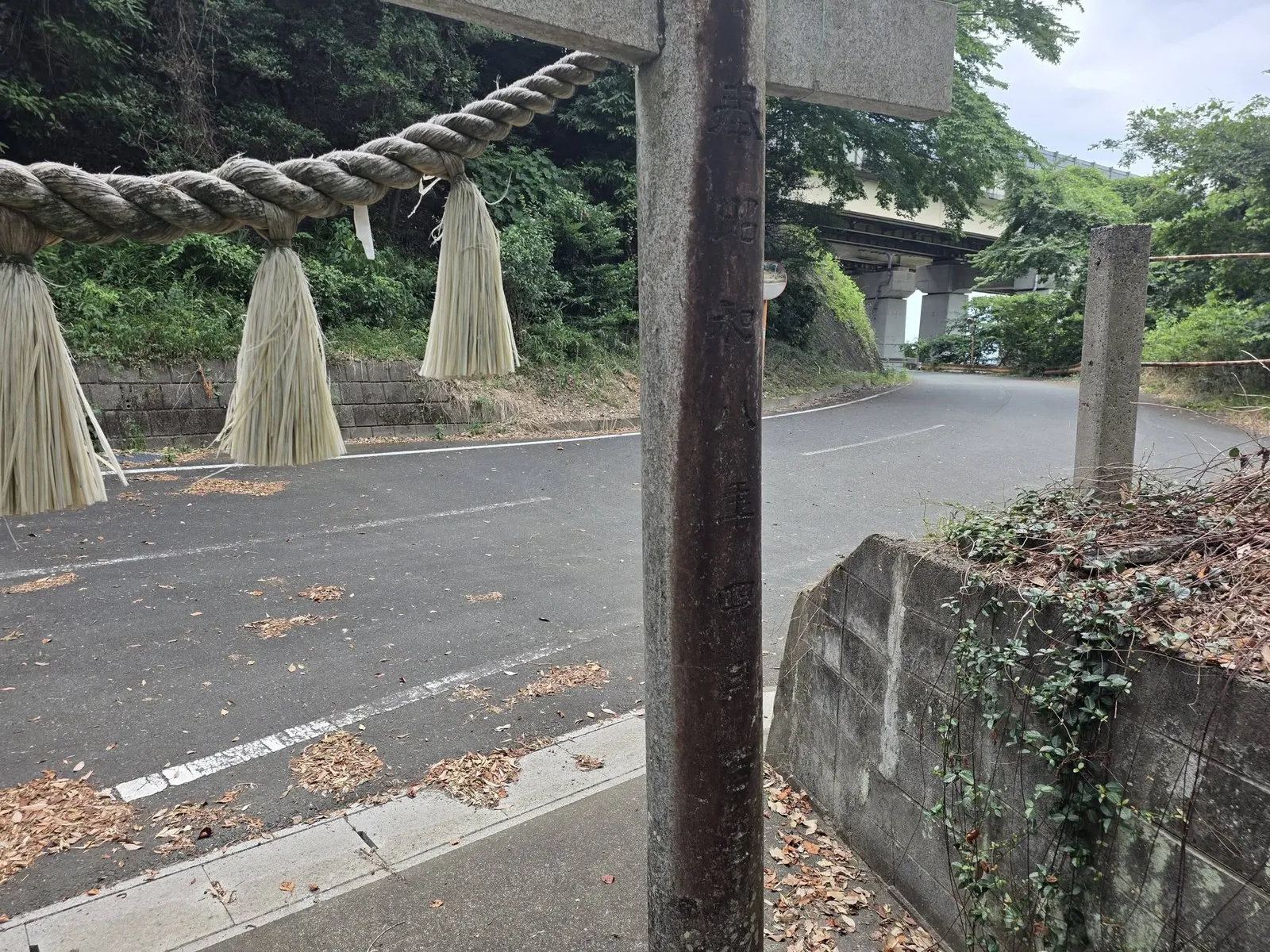 注連縄を掛けた石造鳥居と道路側の景観。