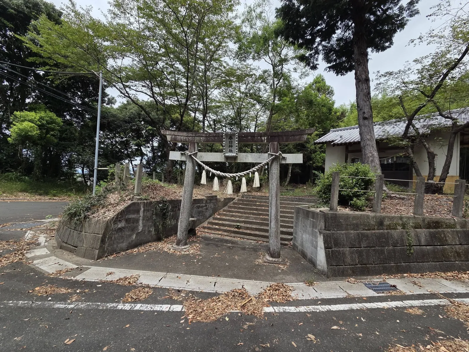 道路側から見た石造鳥居と社殿。