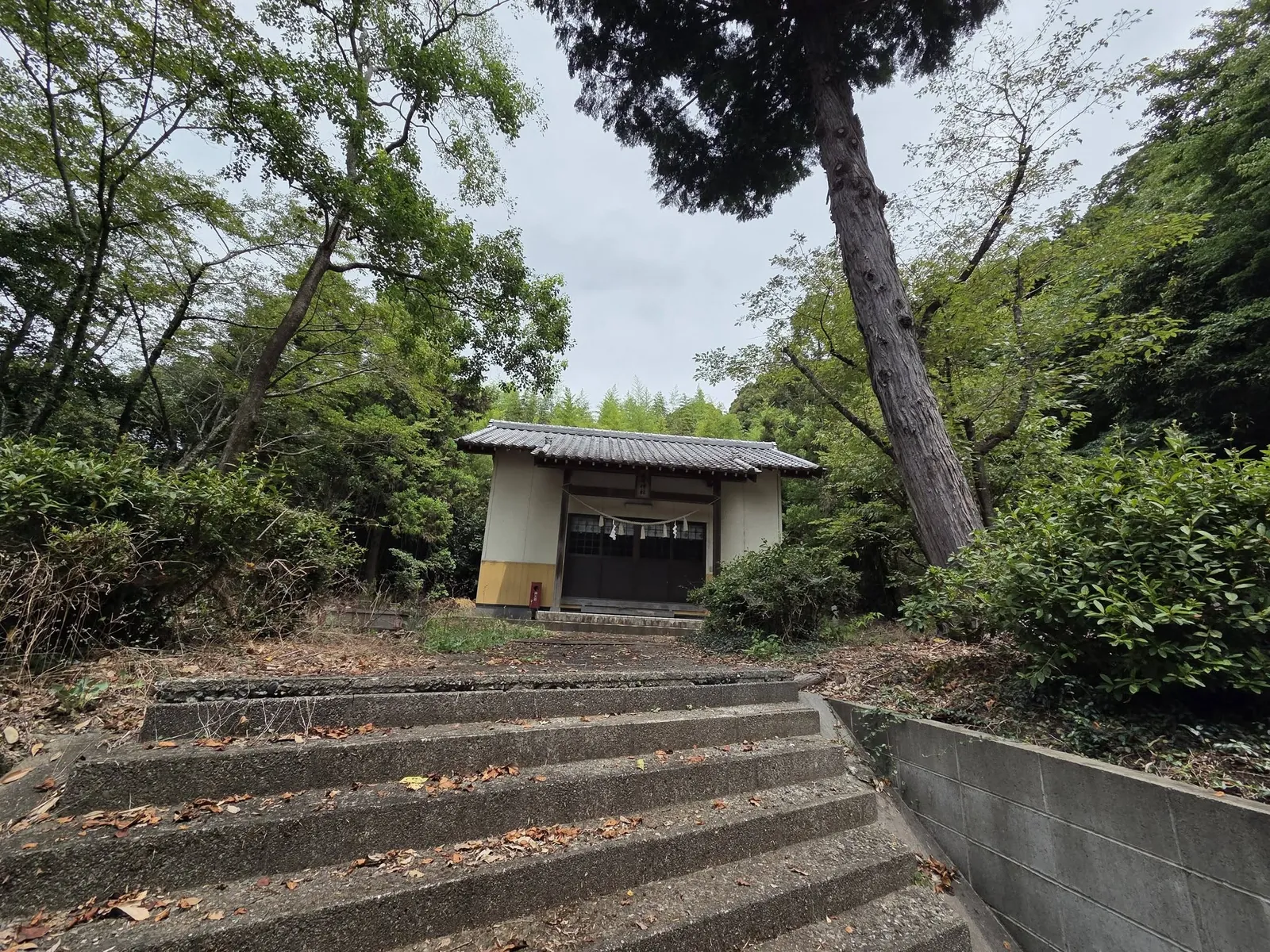 石段下から見た春日神社の社殿。