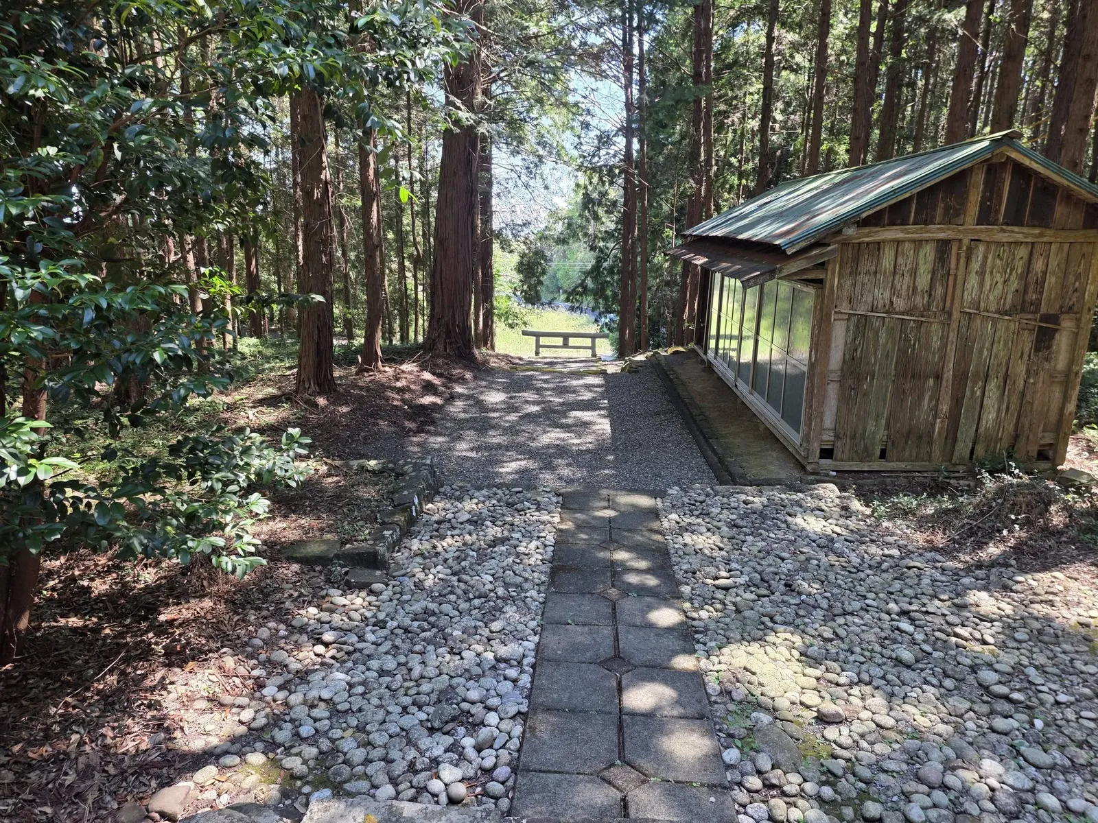 社叢の中を進む参道と境内の建物。
