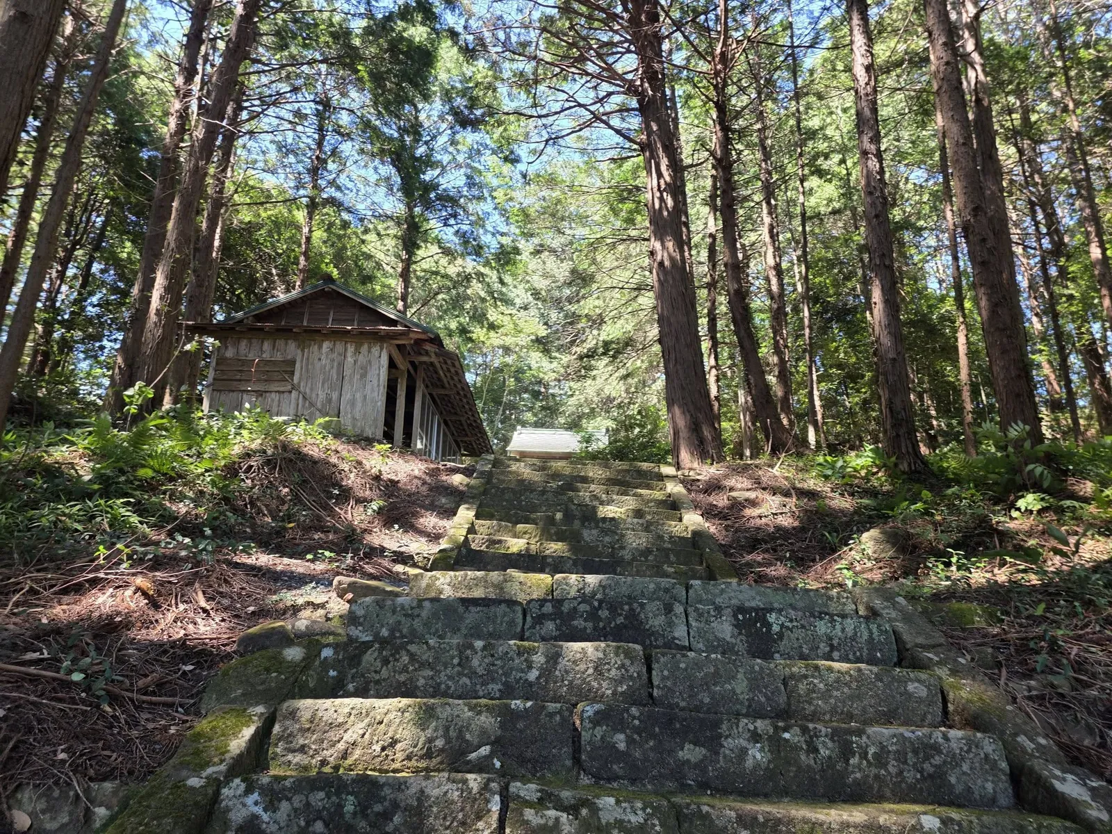 石段と境内の建物。奥に社殿が見える。