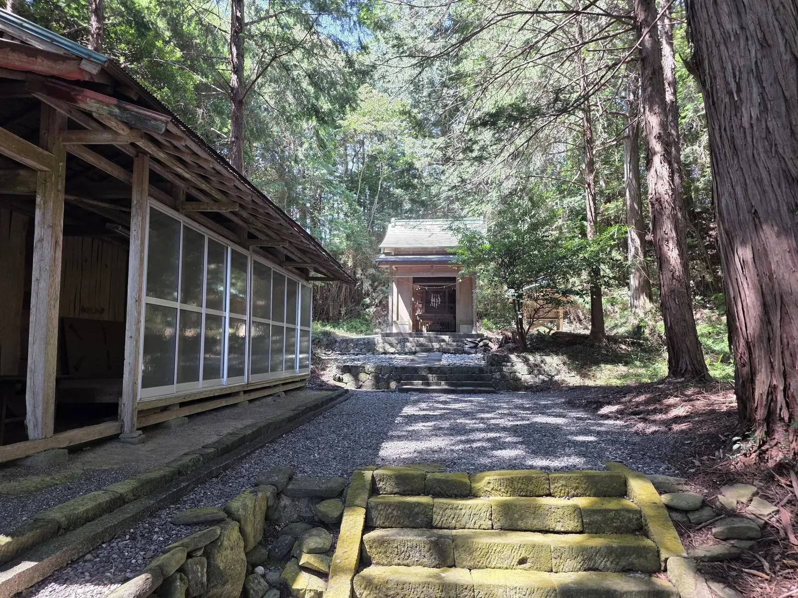 石段から熊野神社の社殿を望む。