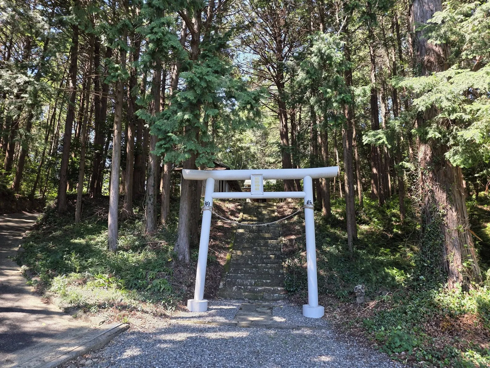 社叢の入口に立つ白い鳥居。