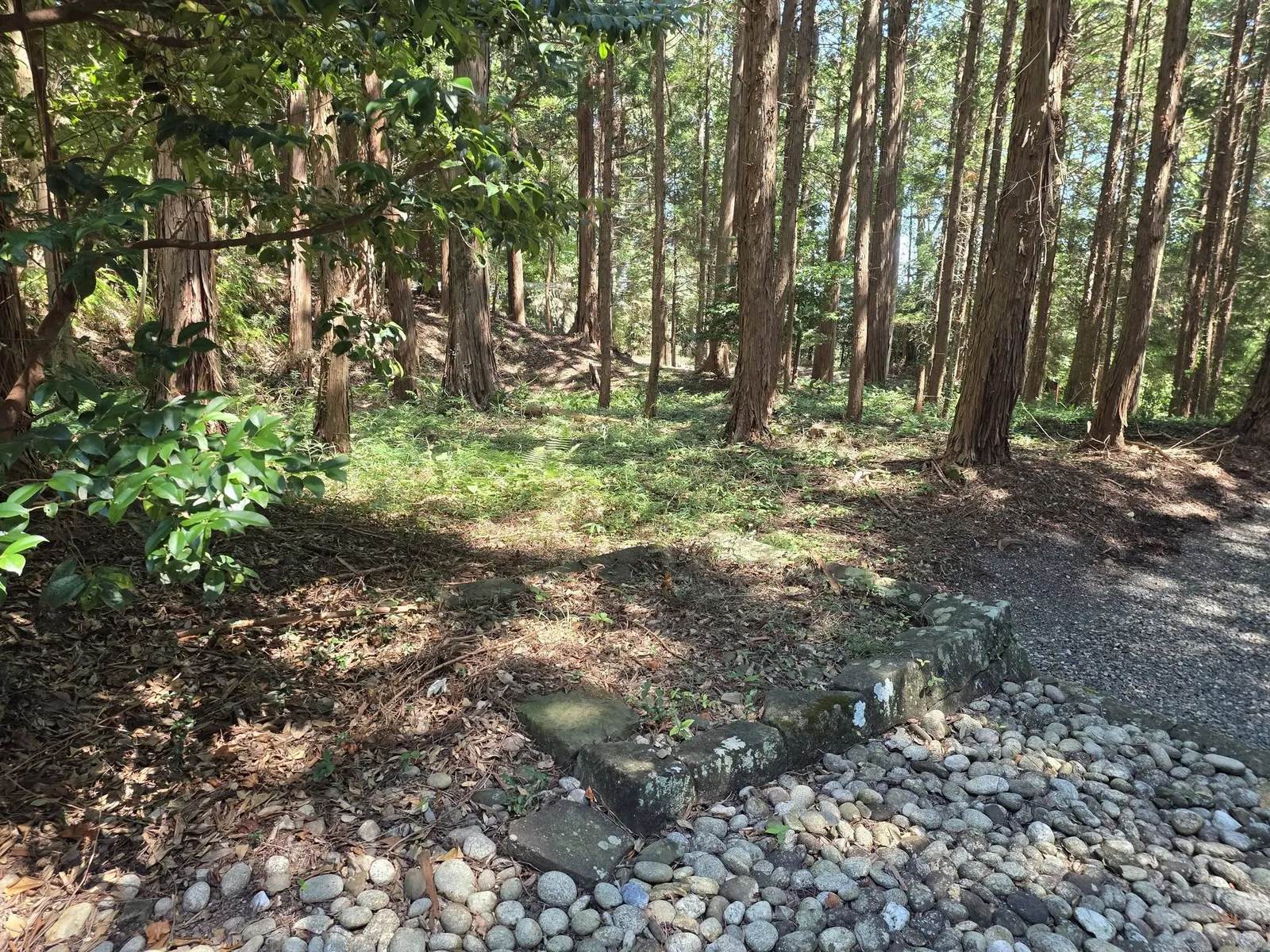 杉木立に囲まれた境内と山道。