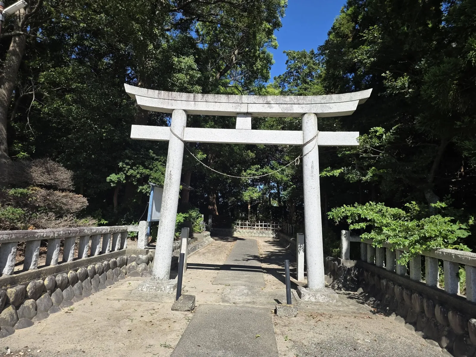 石造鳥居の正面から社叢に囲まれた参道を望む。