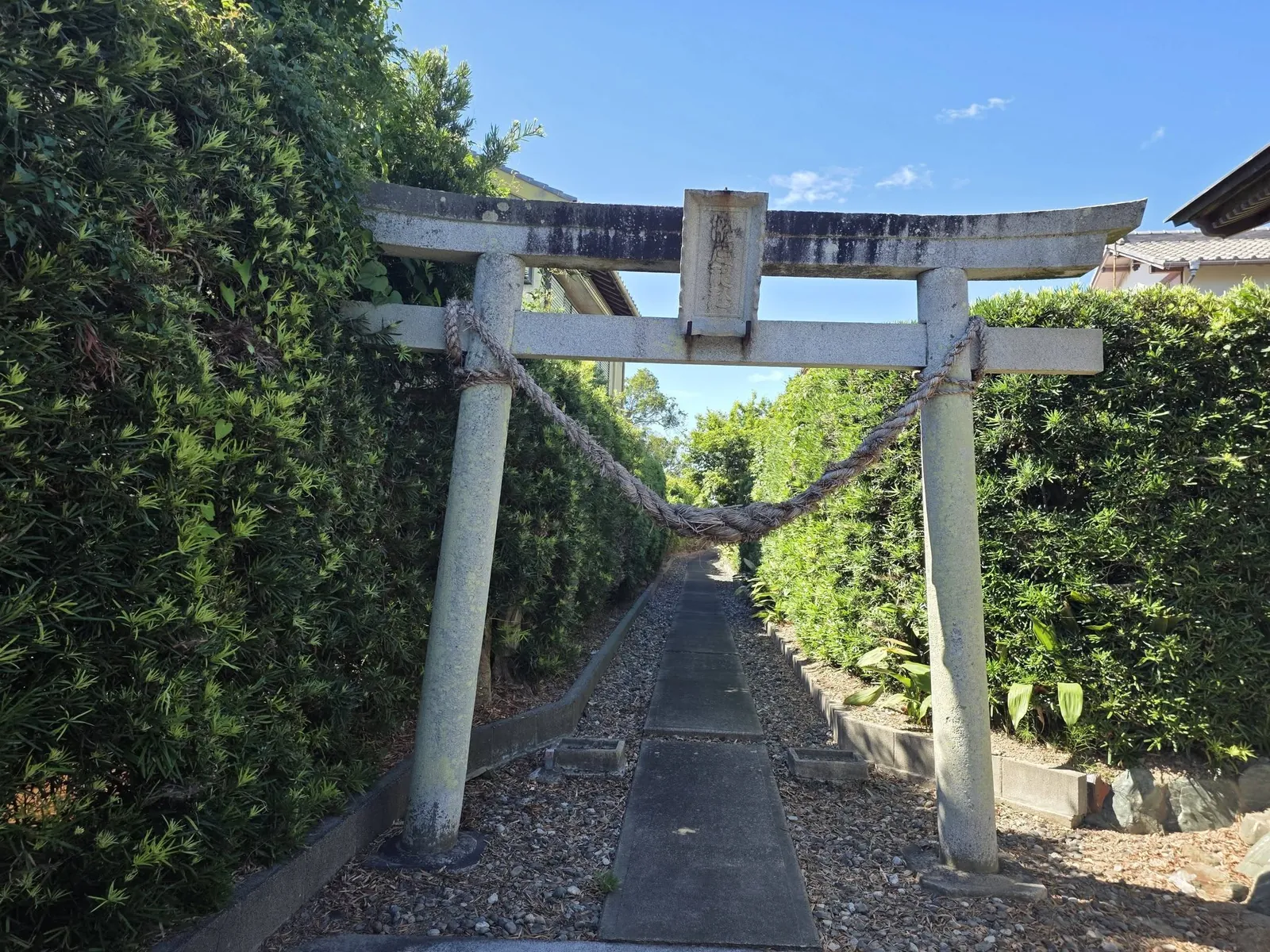 石造鳥居の正面から生垣に挟まれた参道を望む。