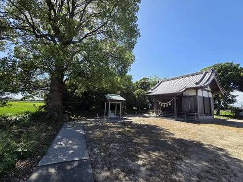 御神木と社殿。