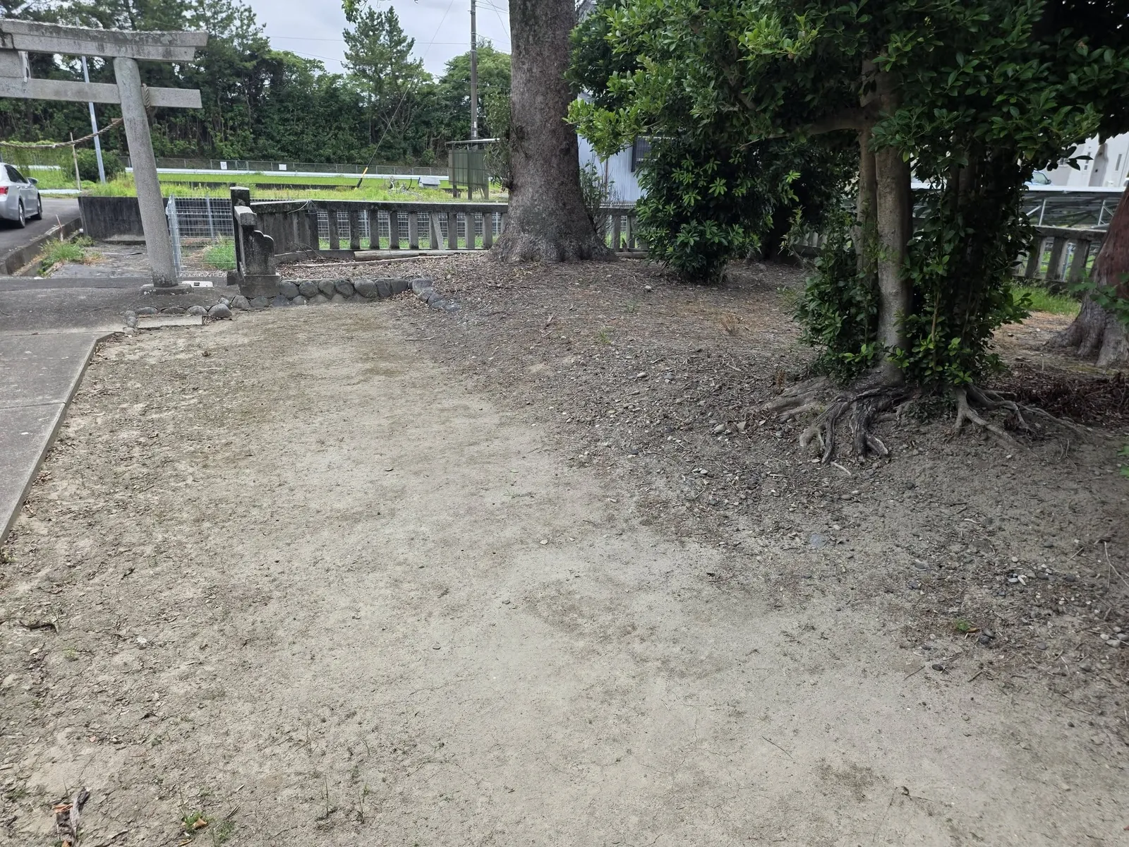 社殿側から見た境内と石造鳥居。