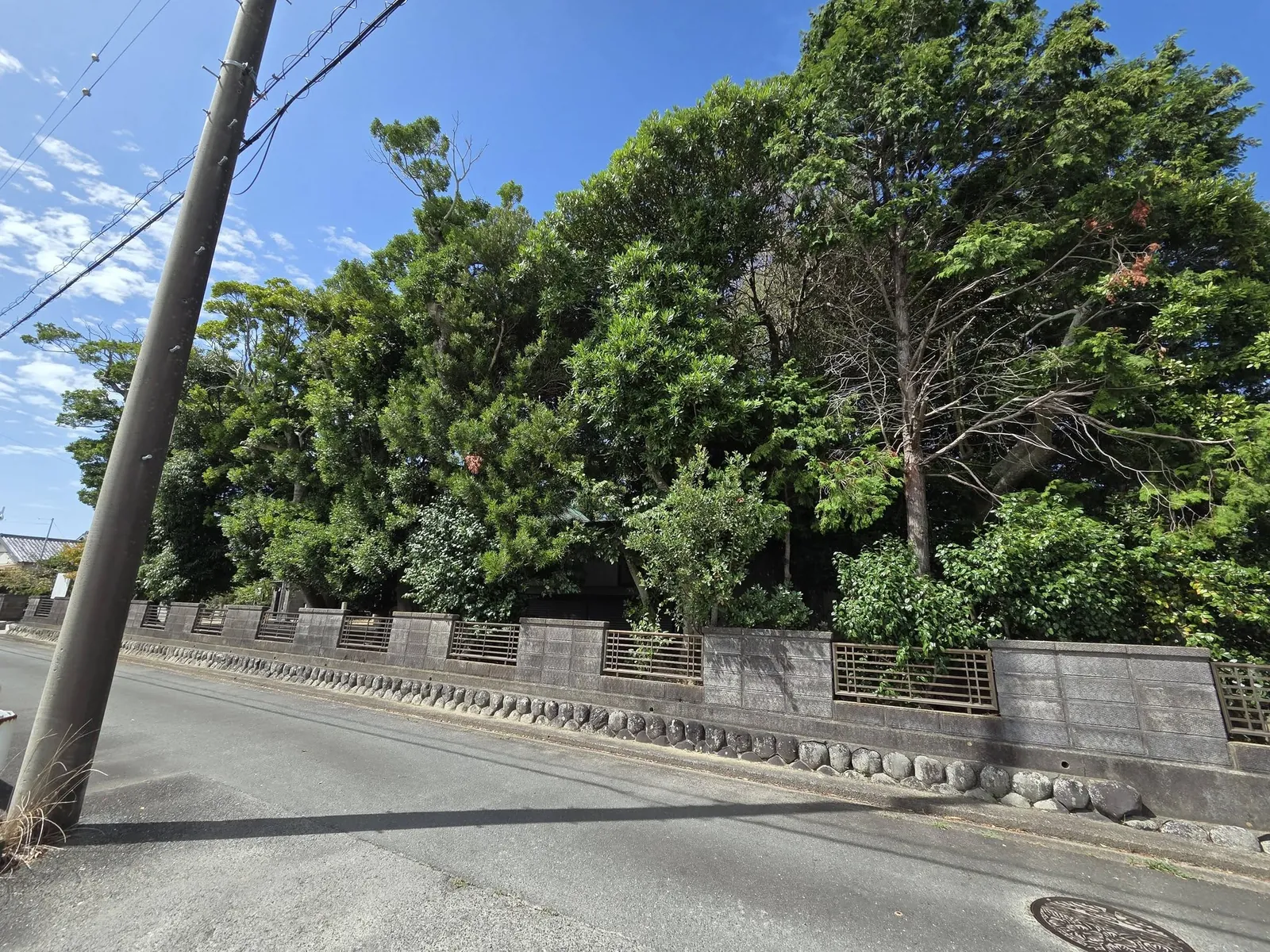 道路沿いの社叢と境内の外観。