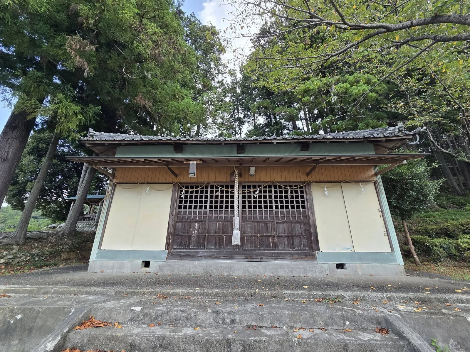 社叢に囲まれた野部神社の社殿正面。