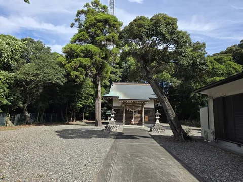 社叢の木々に包まれた社殿を、境内入口付近から引きで見た様子。