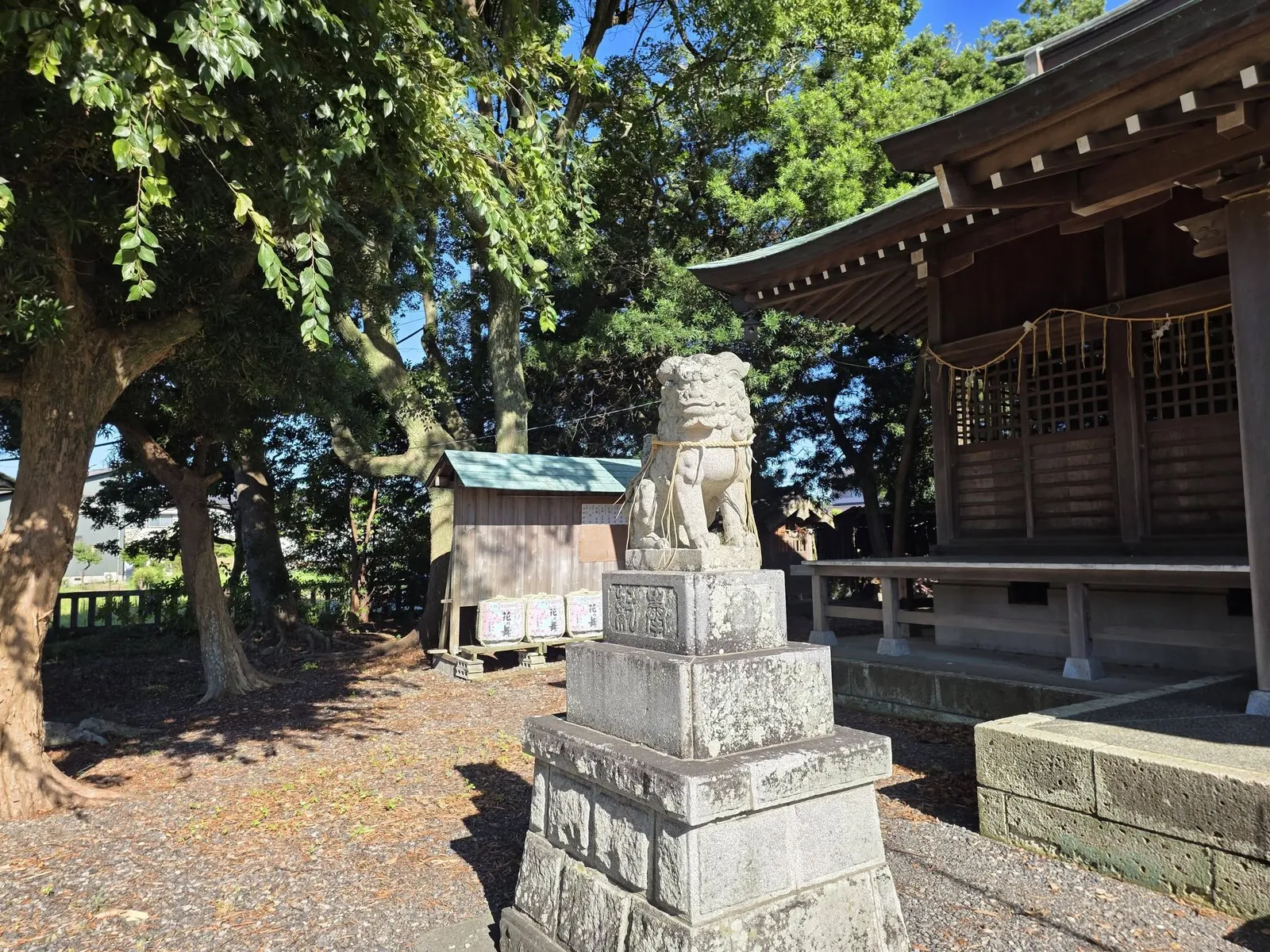 拝殿前の狛犬と社殿。