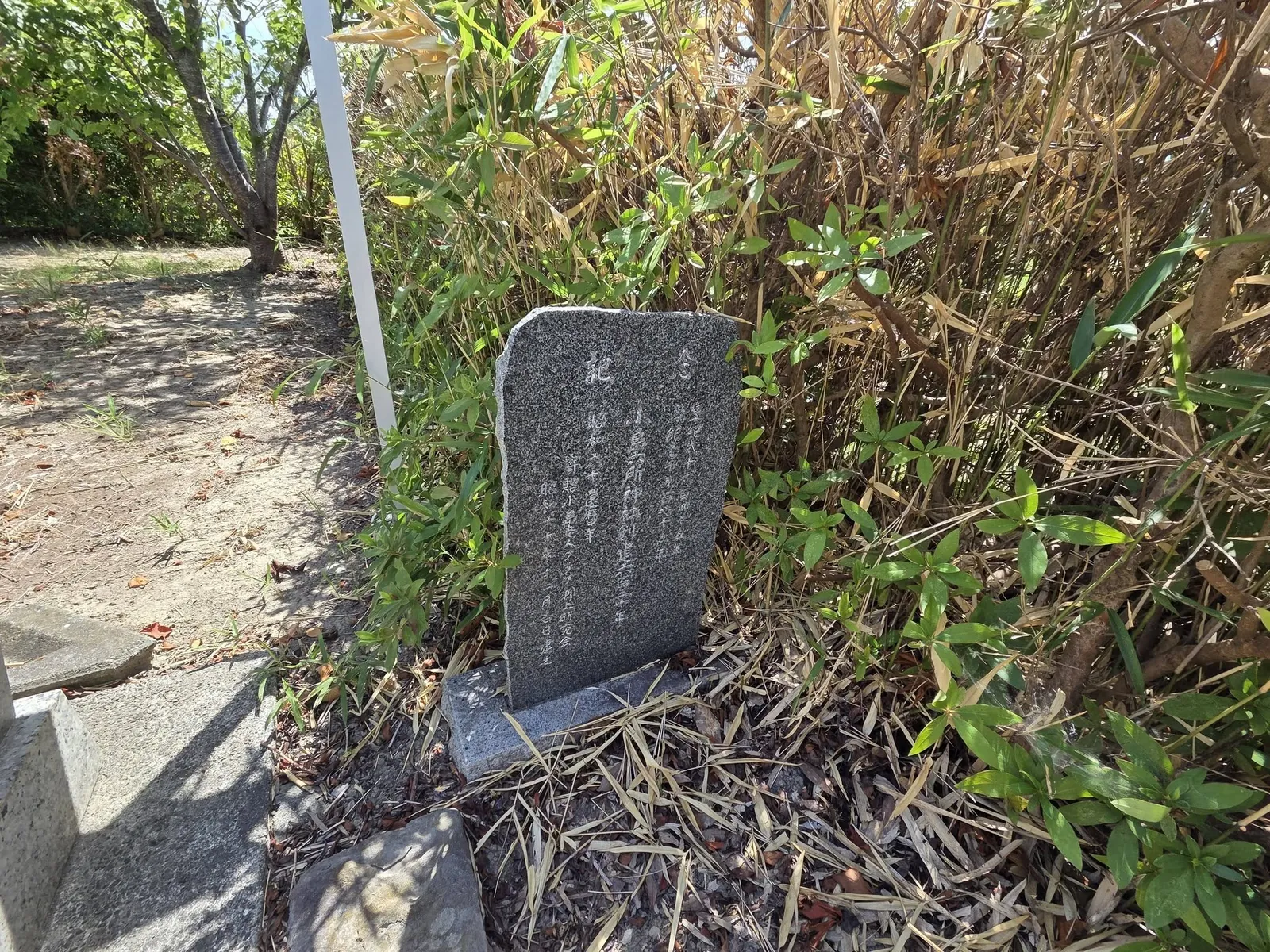 境内の木立のそばに立つ石碑。