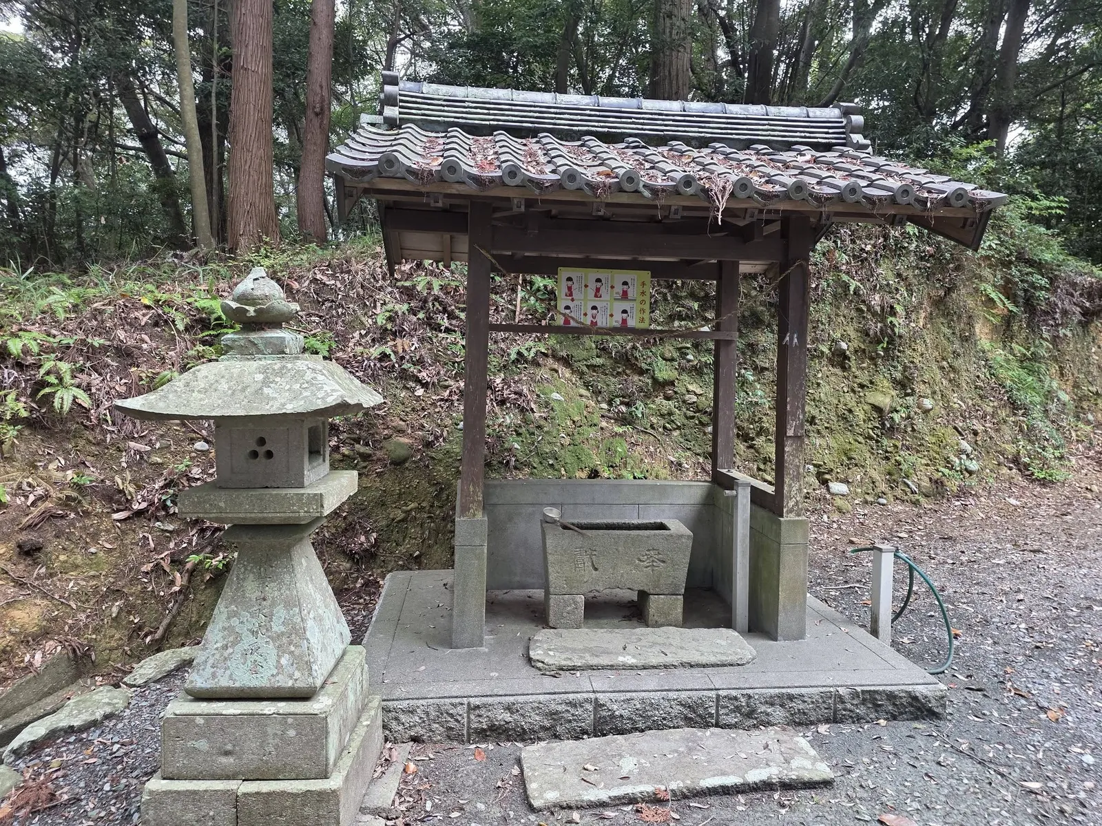 境内の手水舎と石灯籠。木造屋根の下に石造手水鉢を据える。