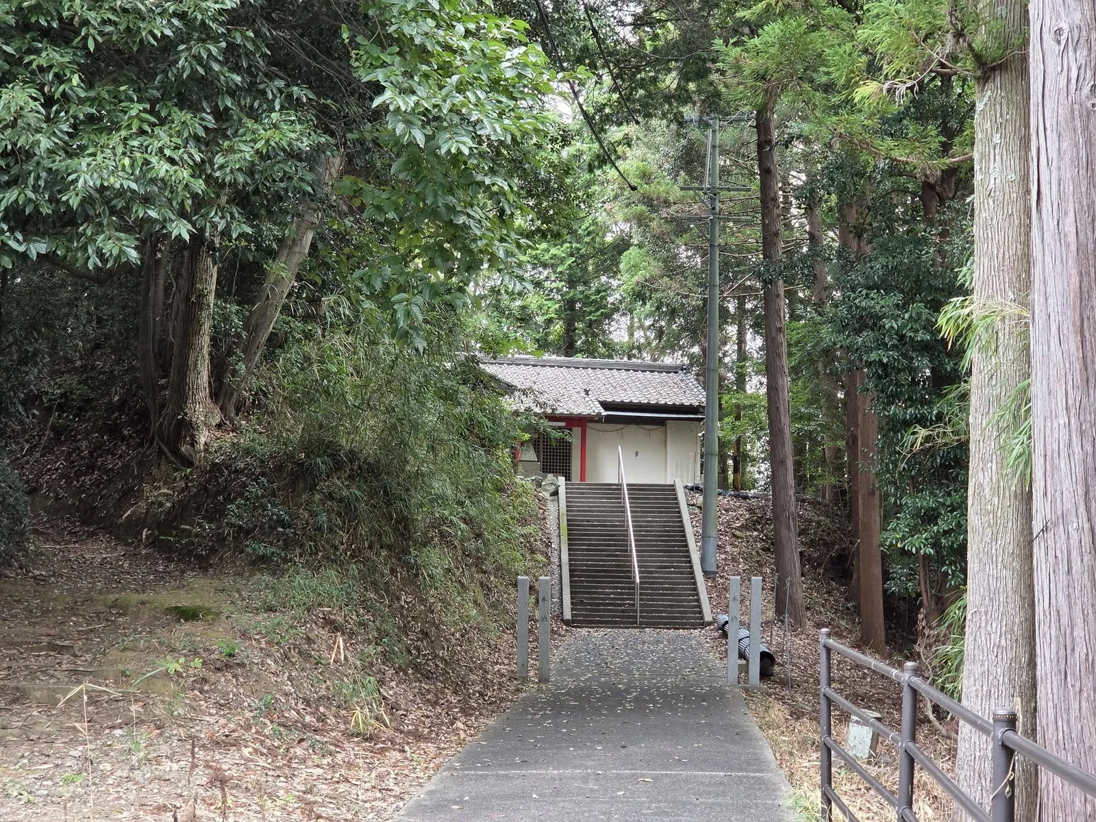 鳥居側から社殿方向を見る石段と参道。社叢の奥に社殿が見える。