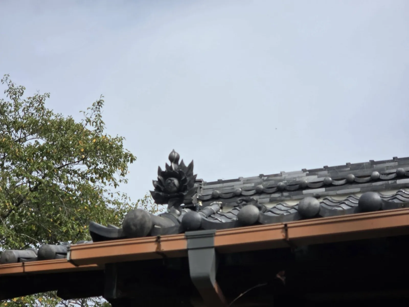 社殿屋根の近景。瓦葺の棟と鬼瓦を記録する。
