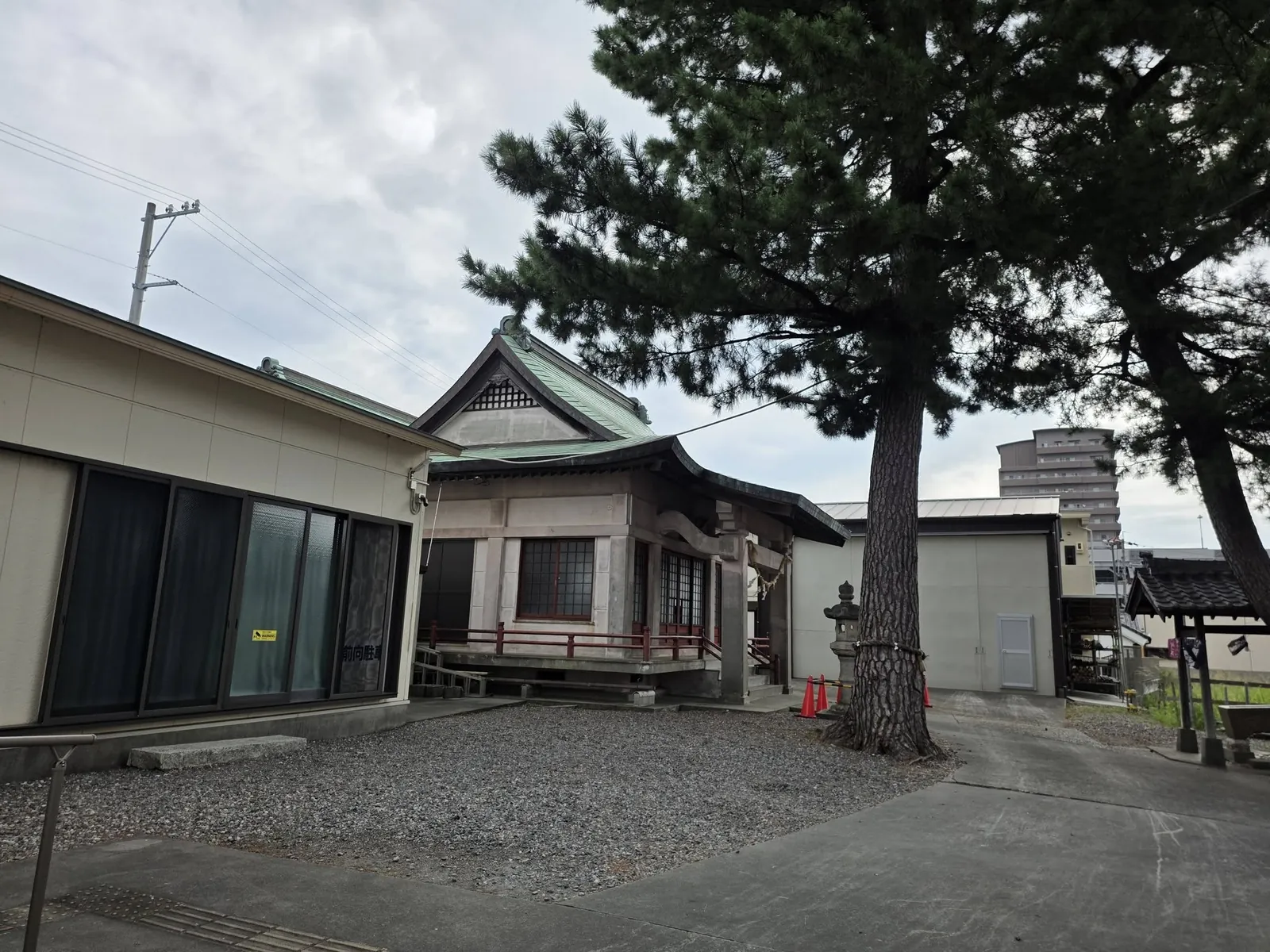 境内の松と社殿を斜め前方から見る。