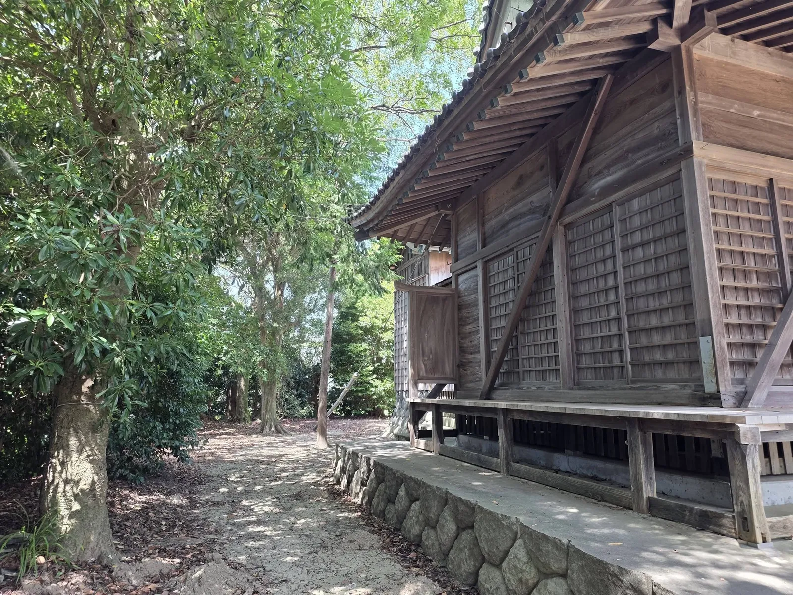 木立に囲まれた浅間神社の社殿を側方から見る。