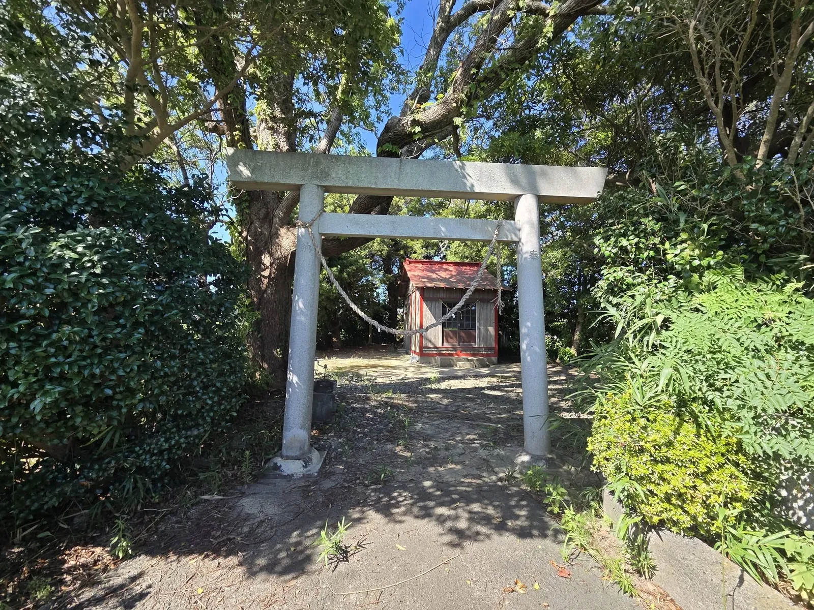石造鳥居の正面から神明神社の社殿を望む。