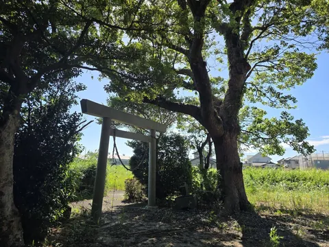 境内側から見た石造鳥居と大木。