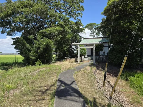 参道から望む鳥居と社殿。
