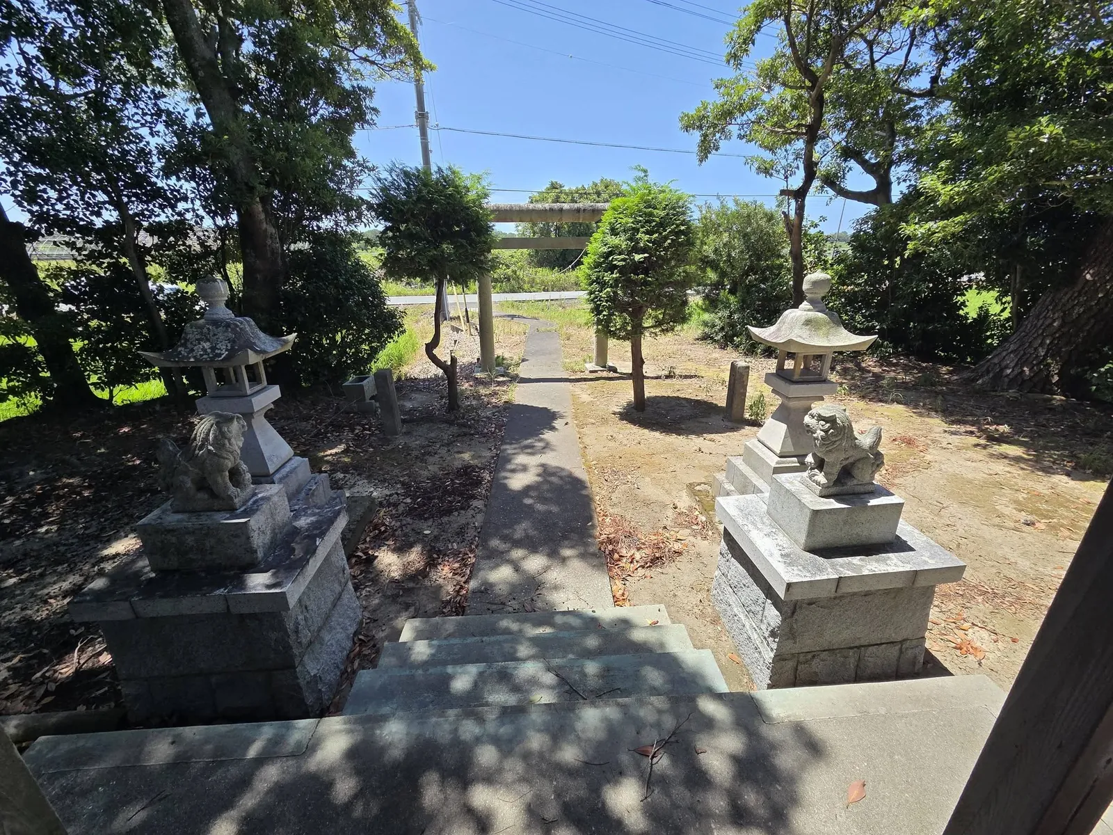 社殿から見た鳥居と狛犬。