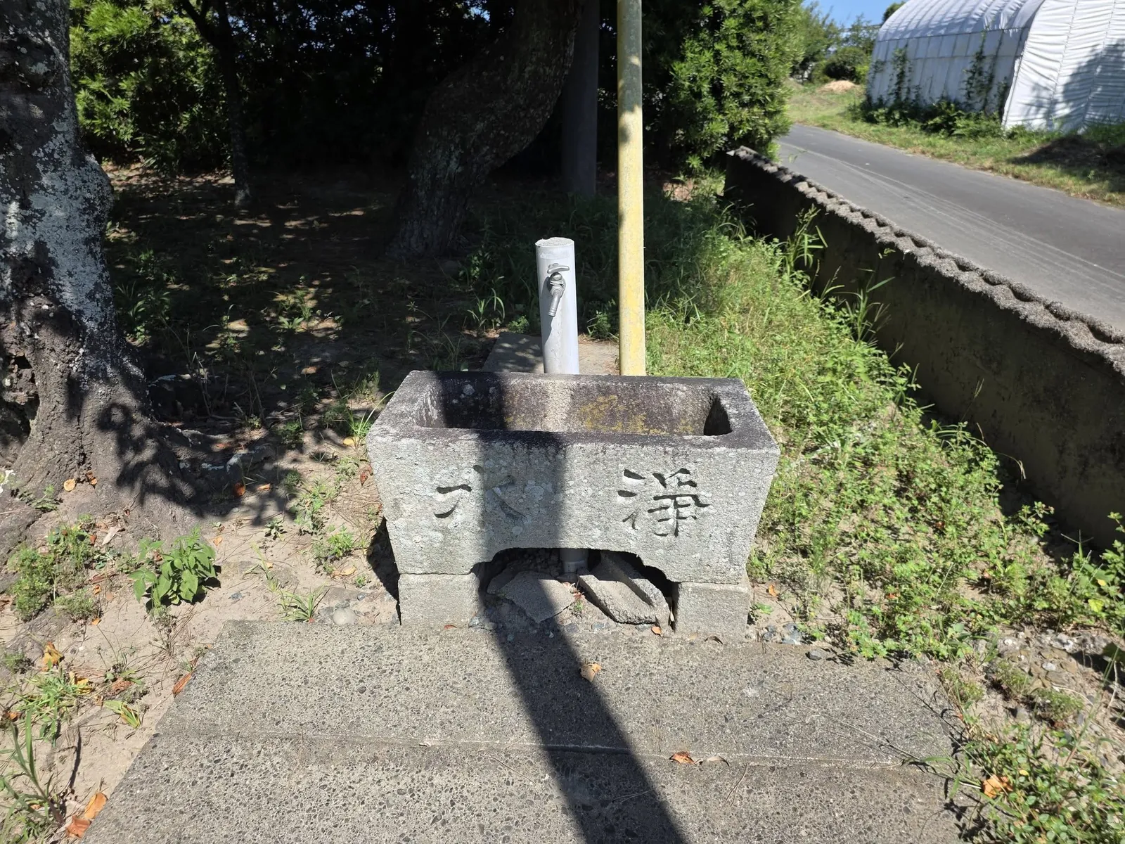 「浄」と刻まれた石造の手水鉢。