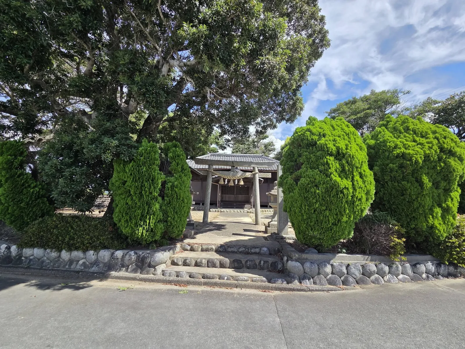 生垣と木々の間から見た境内全景。奥に鳥居と社殿が見える。
