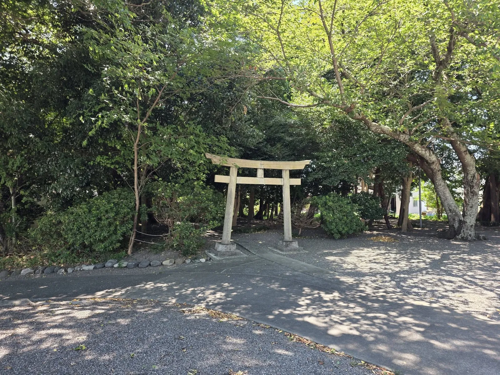 境内の樹木に囲まれた小さな鳥居と境内社。