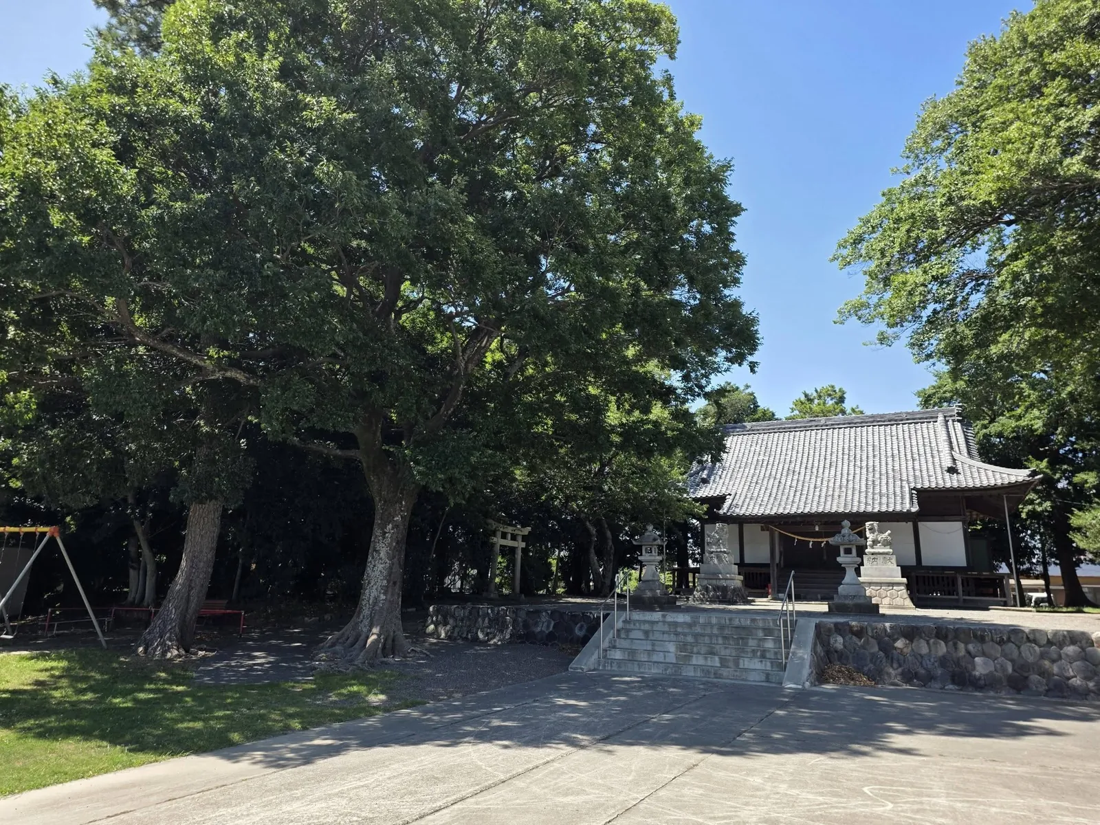 境内の大樹と白羽神社の拝殿。