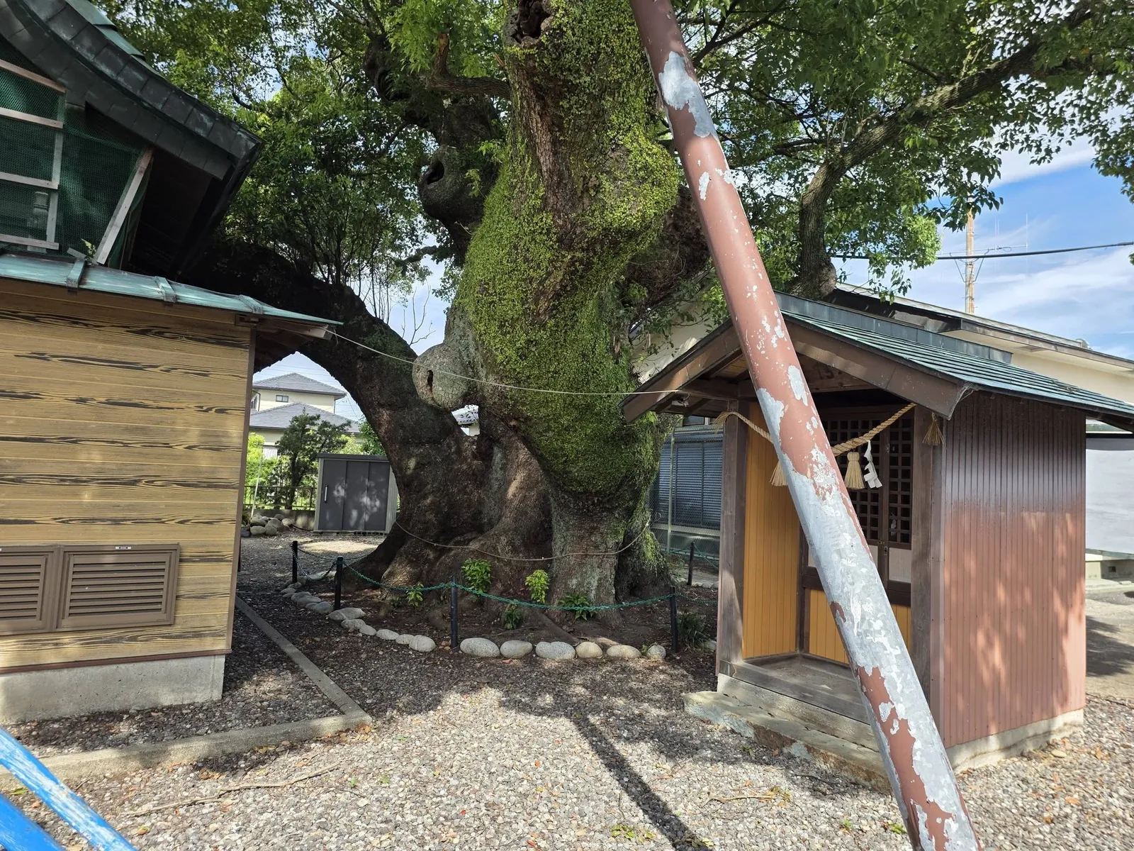 境内社の一つ。黄色い格子戸とトタン張りの外壁を持つ小社に、注連縄と紙垂が渡されている。