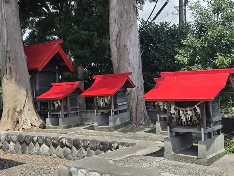 二本の御神木の周囲に赤い屋根の境内社が連なる境内社群。
