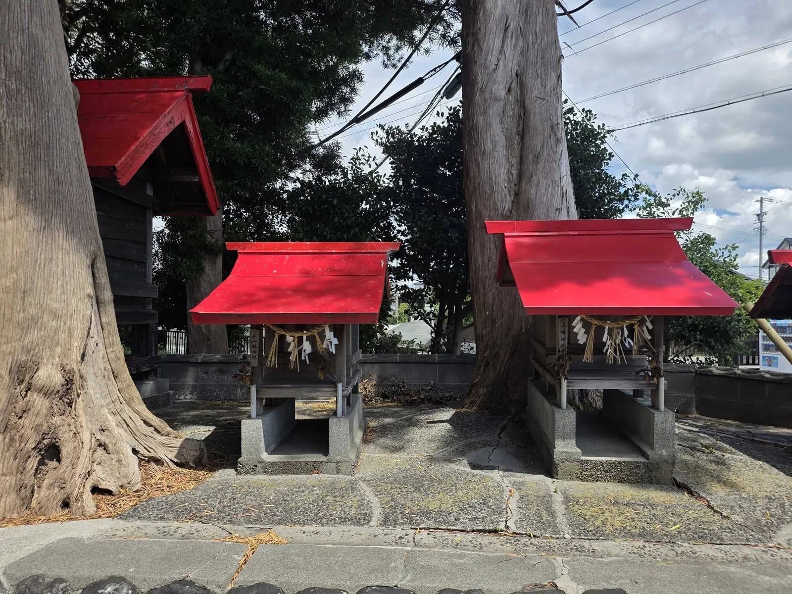 御神木の根元に並ぶ境内社二社。左に「十二社神社」、右に「八幡神社」の社号札が見える。