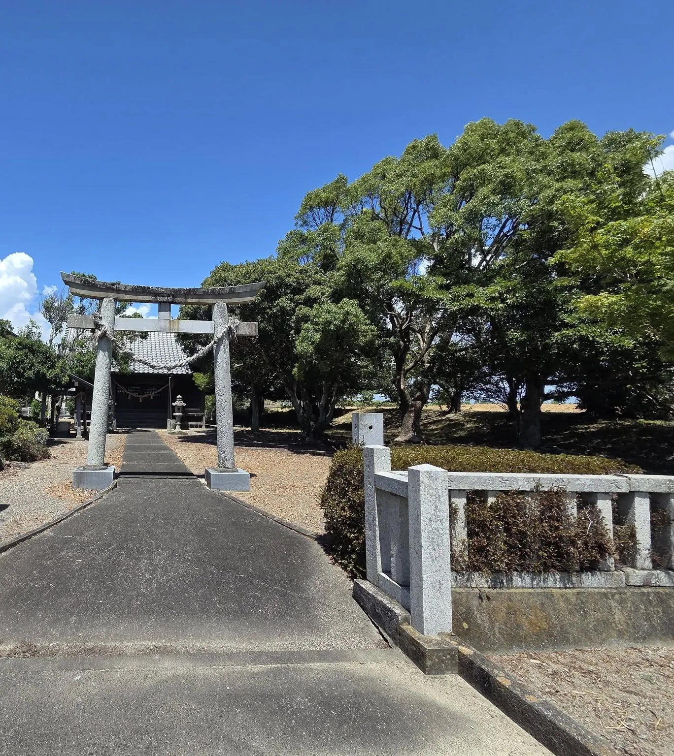 鳥居と社叢に囲まれた水神社の社殿。