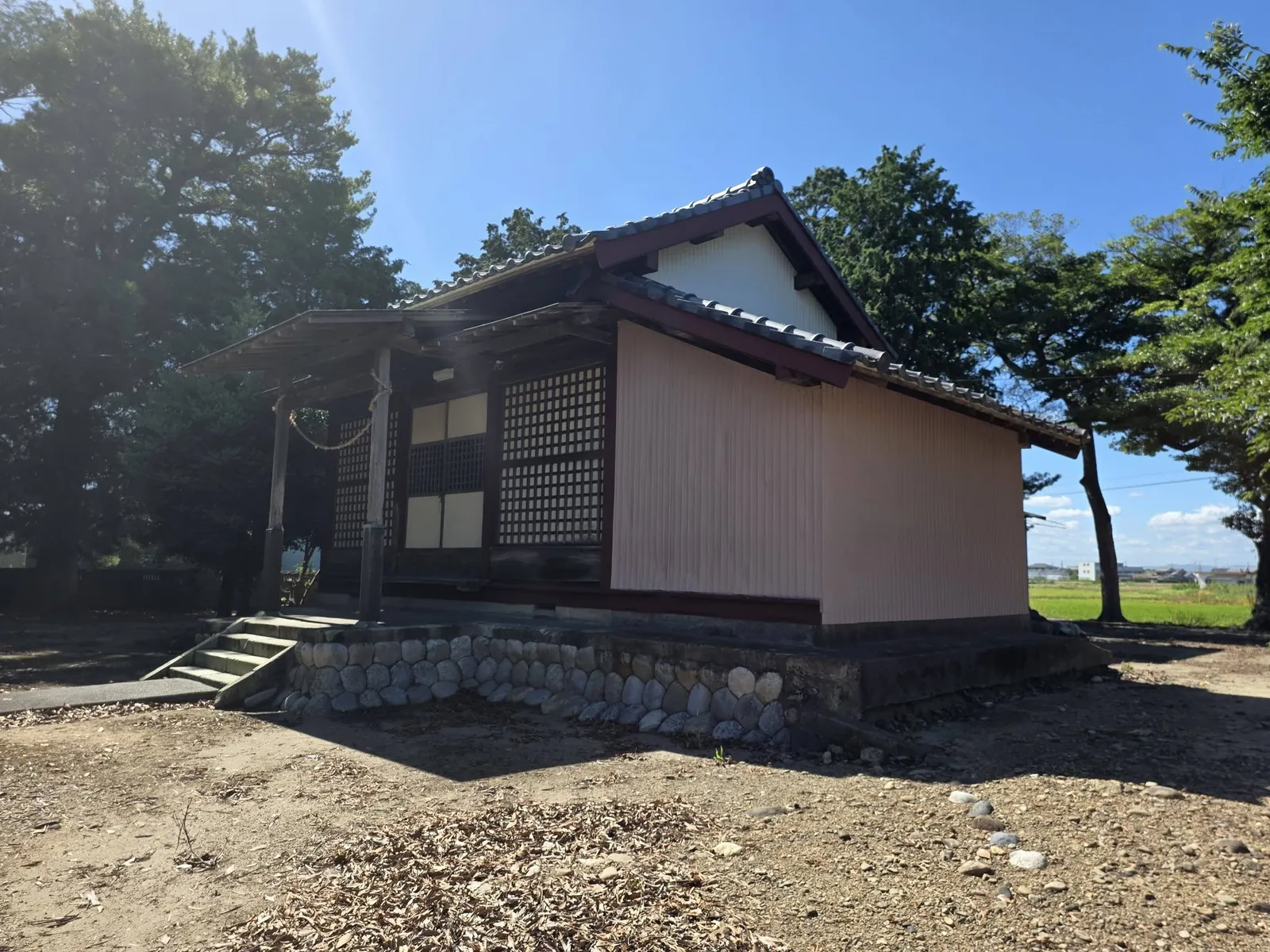側方から見た水神社の社殿と背後の水田。