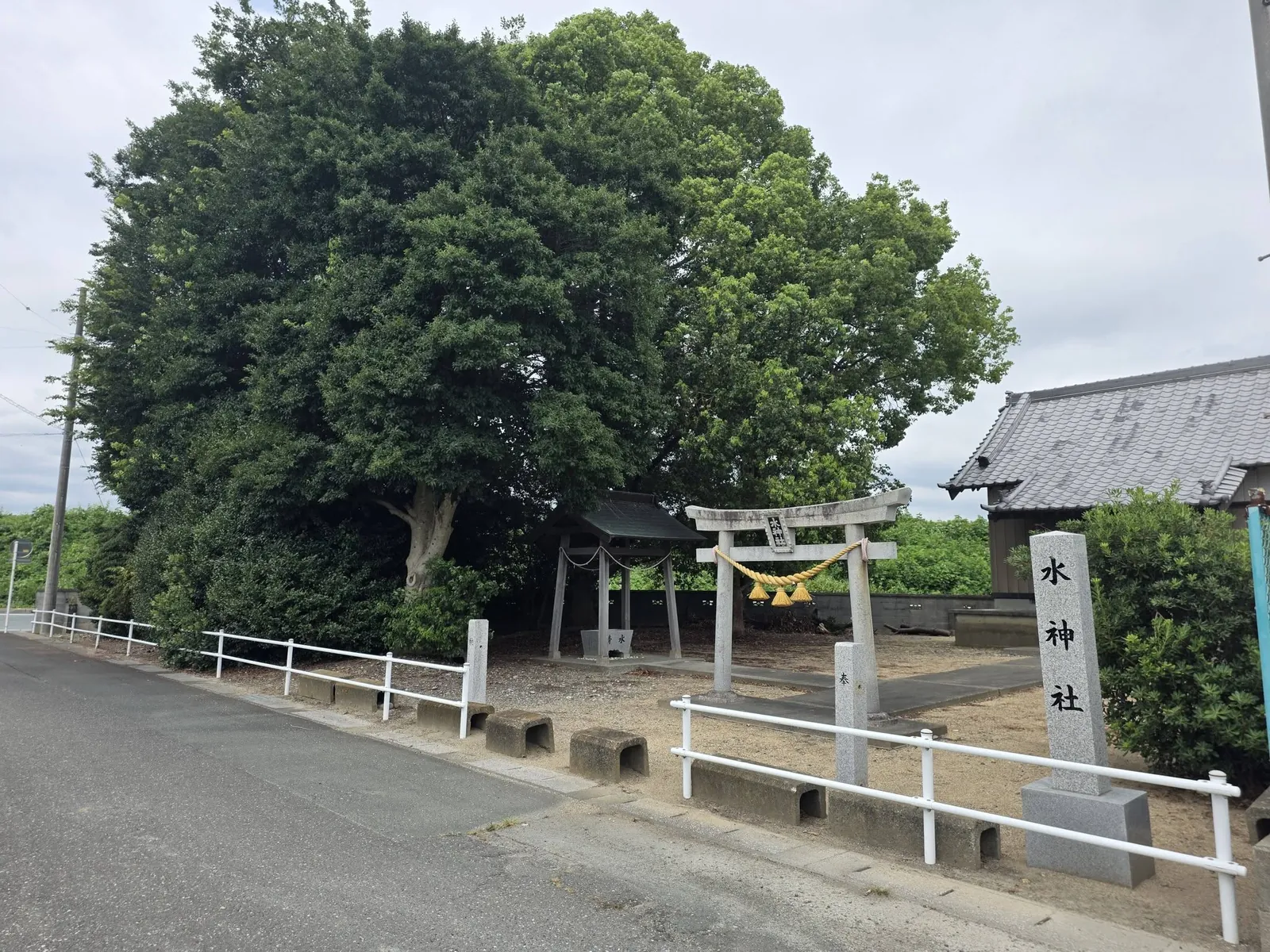 道路側から見た境内入口と社叢。社号標と鳥居が立つ。