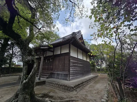 大木のそばに建つ社殿を側方から見る。