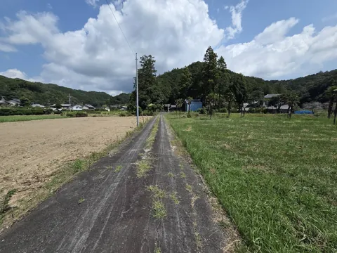 田園の中から諏訪神社の社叢へ続く参道。