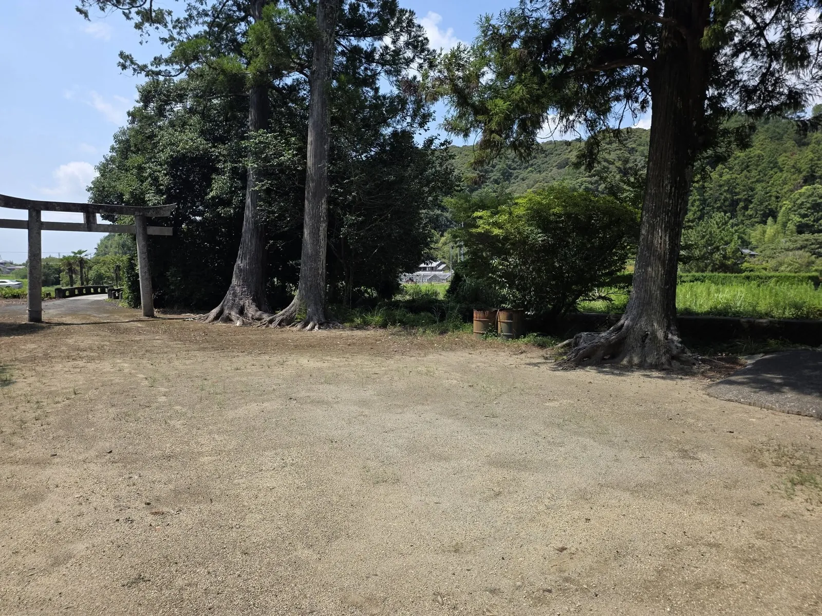 大木に囲まれた境内と鳥居。