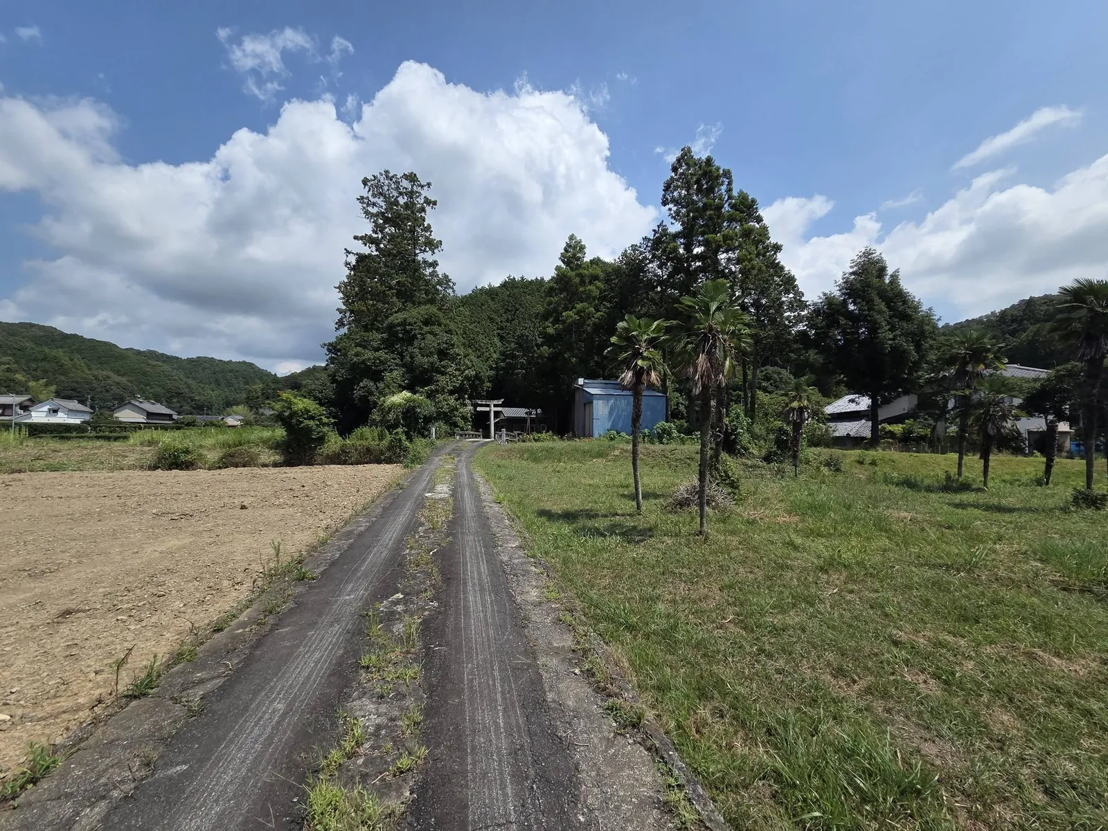 田園を通って諏訪神社へ向かう参道。