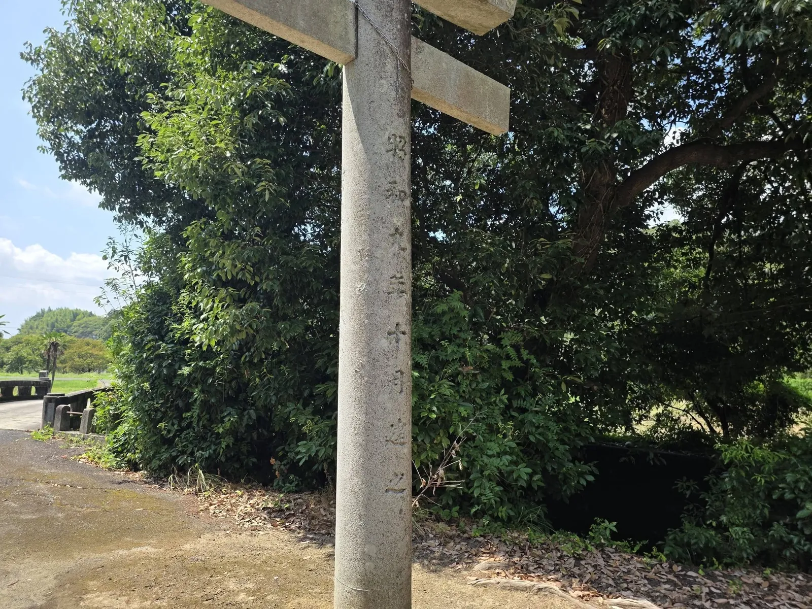 石造鳥居の柱と境内の大木。